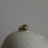 wide gem ring 002 Dalmatian Jasper